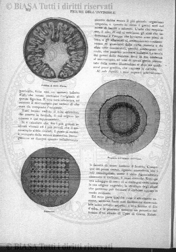 v. 12, n. 72 (1900) - Copertina: 1