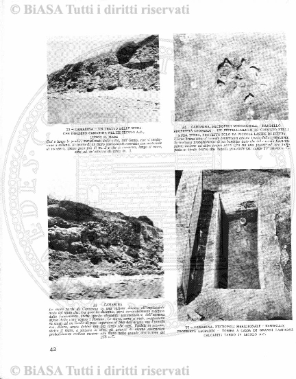 n. 6 (1882) - Pagina: 11