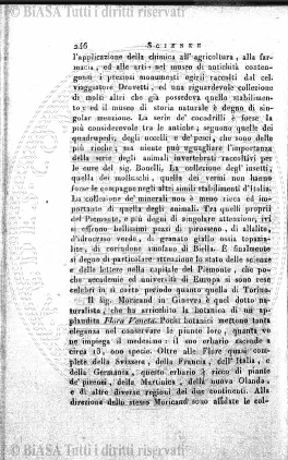 s. 3, n. 4 (1894) - Pagina: 49