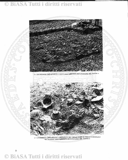 v. 3, n. 5 (1869) - Sommario: p. 65