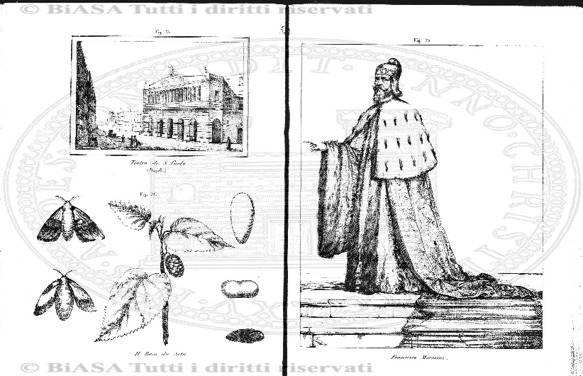 n.s., n. 176 (1858-1859) - Pagina: 201