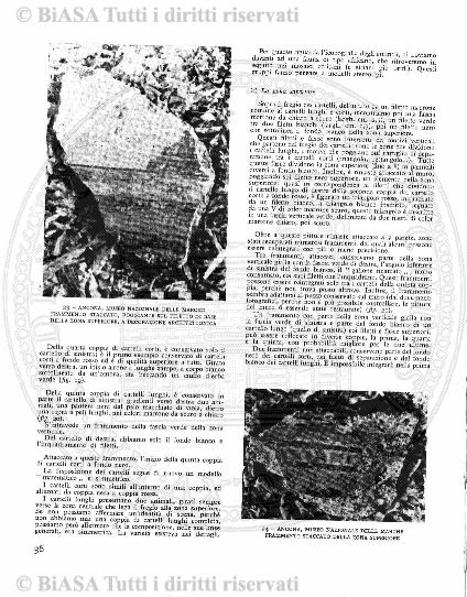 s. 5, n. 8 (1914) - Copertina: 1