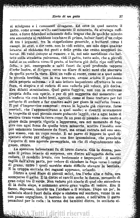 n. 7 (1910) - Pagina: 241