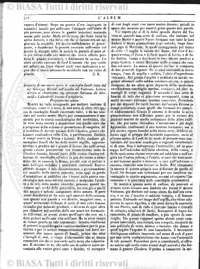 s. 5, v. 2, parte 2 (1894) - Pagina: 1