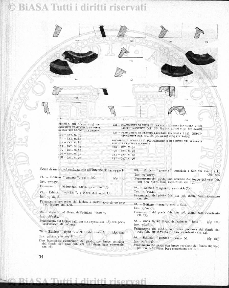 n. 5 (1924-1925) - Copertina: 1