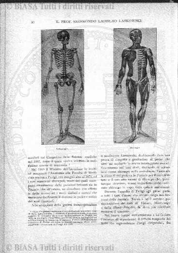 n. 8 (1932) - Copertina: 1