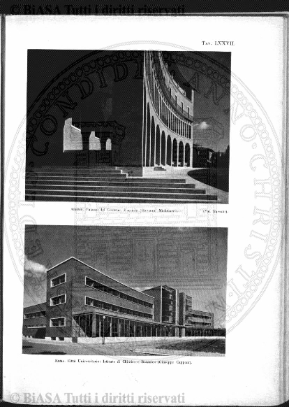 s. 3, v. 7, n. 5 (1882-1883) - Copertina: 1