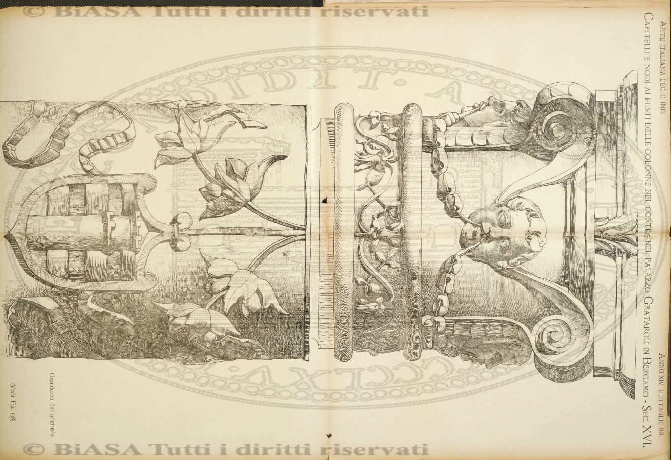 v. 9, n. 24 (1782-1783) - Pagina: 195