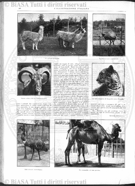n. 1-3 (1925) - Frontespizio