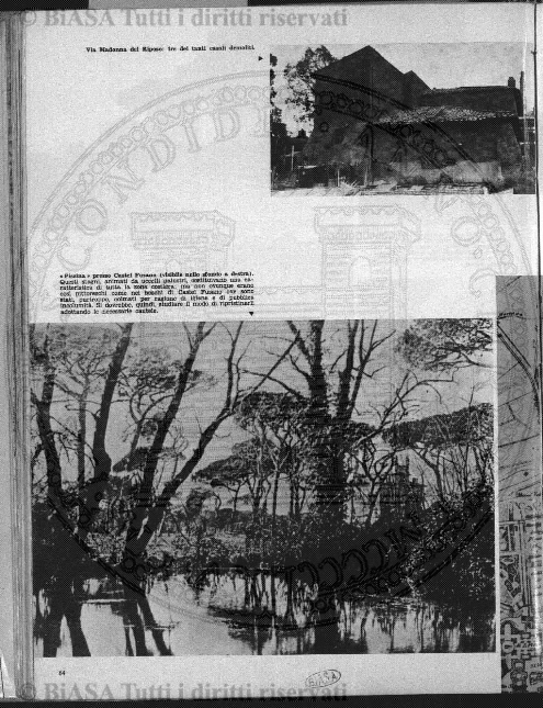 v. 4, n. 30 (1839-1840) - Pagina: 237