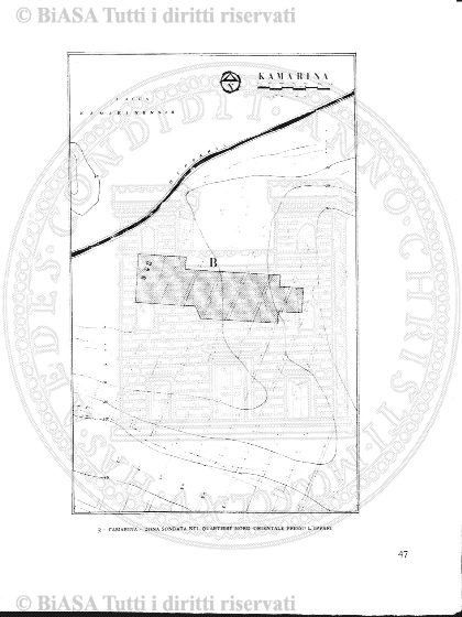 n. 8 (1878) - Frontespizio
