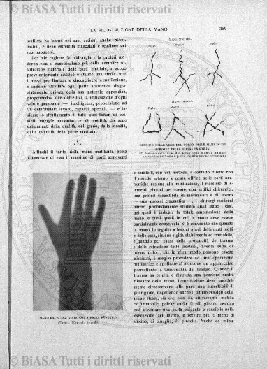 n. 9 (1906-1907) - Pagina: 33