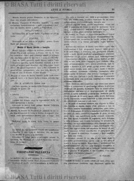 n. 4 (1902) - Pagina: 29