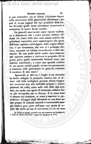 v. 15, n. 33 (1848-1849) - Pagina: 257