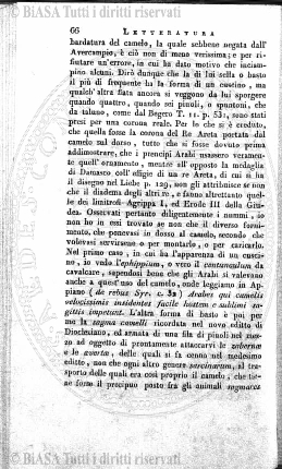 v. 3, n. 40 (1776-1777) - Pagina: 313