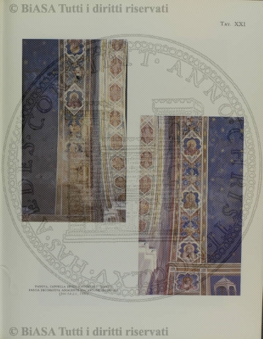 n. 46 (1884) - Pagina: 361 e sommario