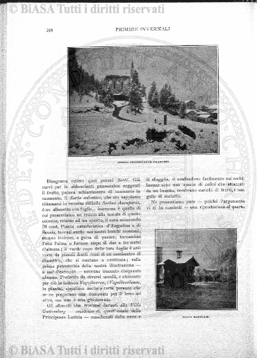 n. 1 (1914) - Copertina: 1 e sommario