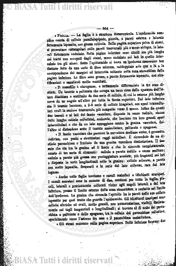 v. 28, n. 16 (1861-1862) - Pagina: 121