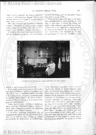 n. 9 (1924-1925) - Pagina: 137 e sommario