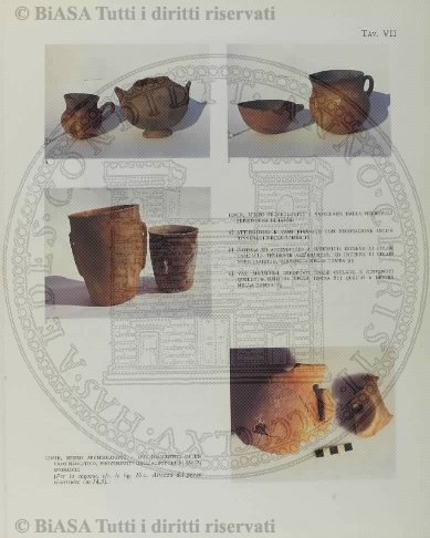 n. 47 (1890-1891) - Pagina: CXXI