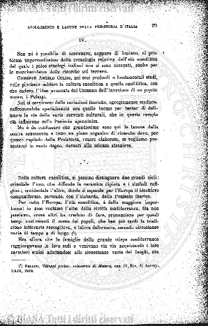n. 7 (1919) - Copertina: 1