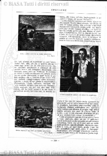 n. 12 (1890-1891) - Copertina: 1