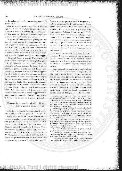 n. 1-2 (1917) - Copertina: 1