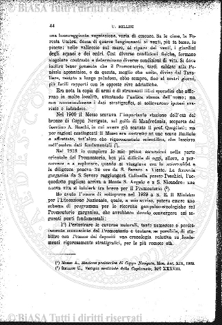 n. 8 (1956) - Pagina: 225