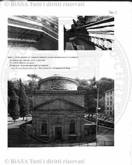 s. 3, n. 6 (1894) - Pagina: 81