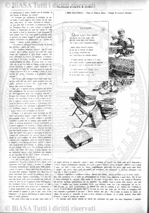 n. 36 (1884) - Pagina: 281 e sommario