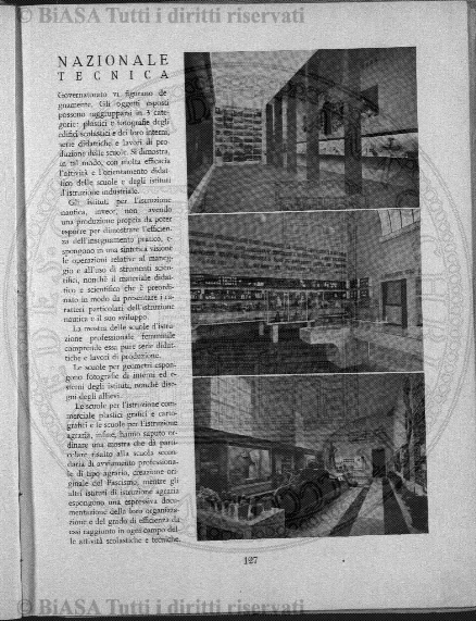 n. 11 (1879-1880) - Pagina: 81