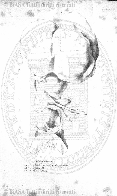 v. 7, n. 16 (1780-1781) - Pagina: 121