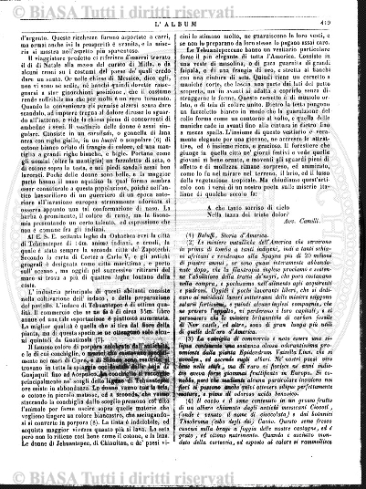 n. 31 (1919) - Copertina: 1