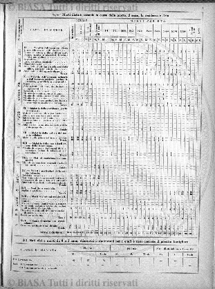 v. 7, n. 41 (1911) - Pagina: 147