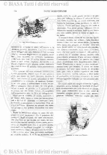 v. 2, n. 1 (1868) - Frontespizio
