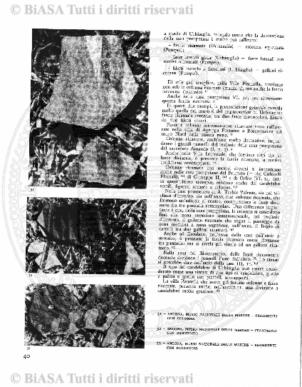 n. 7 (1923) - Pagina: 73