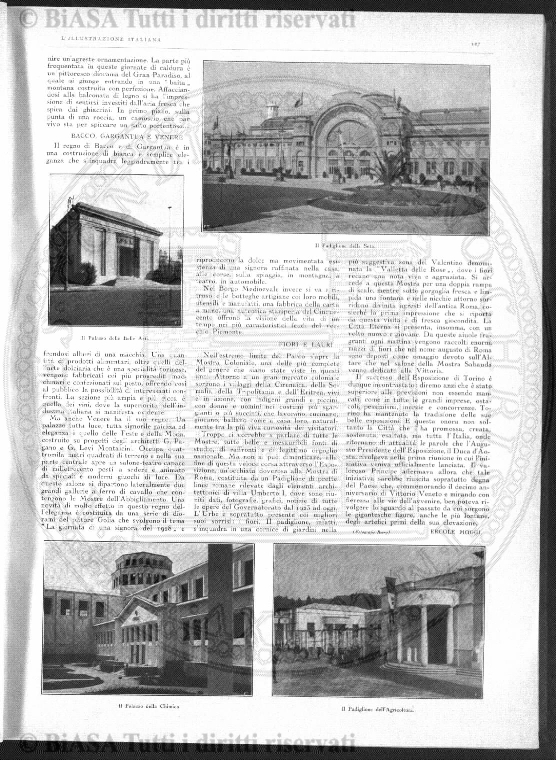 v. 20, n. 45 (1853-1854) - Pagina: 341