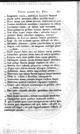 s. 6, n. 107 (1999) - Copertina: 1