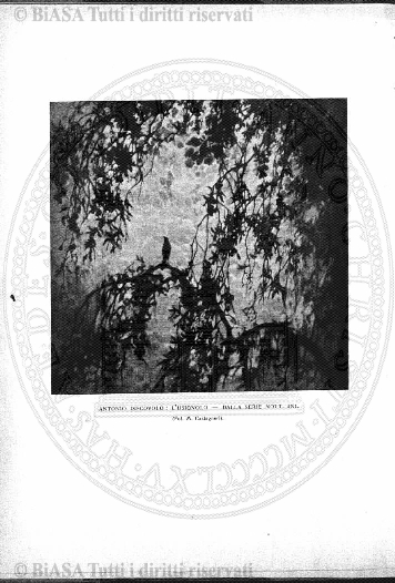 n. 16 (1886) - Pagina: 113 e sommario