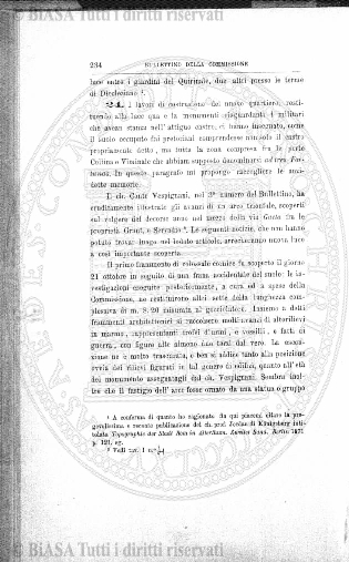 v. 17, n. 28 (1850-1851) - Pagina: 217