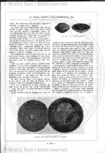 n. 28 (1889) - Pagina: 217 e sommario