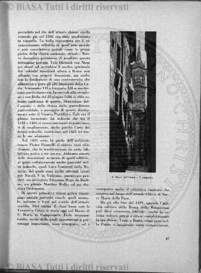 v. 21, n. 31 (1854-1855) - Pagina: 241