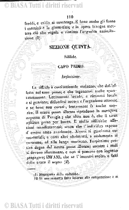 s. 3, v. 10 (1881-1882) - Frontespizio