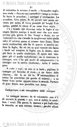 n. 11 (1923) - Pagina: 121