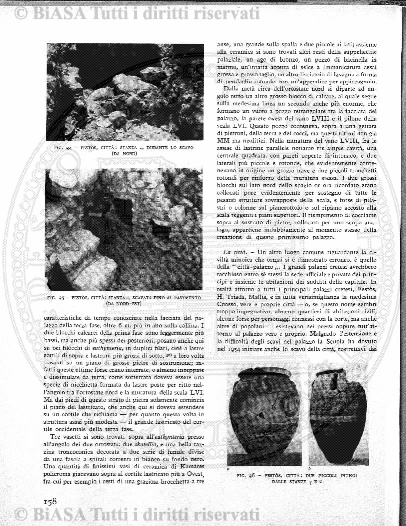 n. 12 (1914-1915) - Pagina: 133