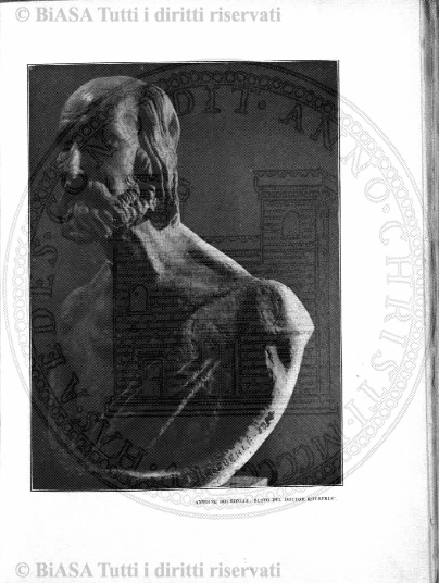 n.s., n. 35 (1853-1854) - Pagina: 81