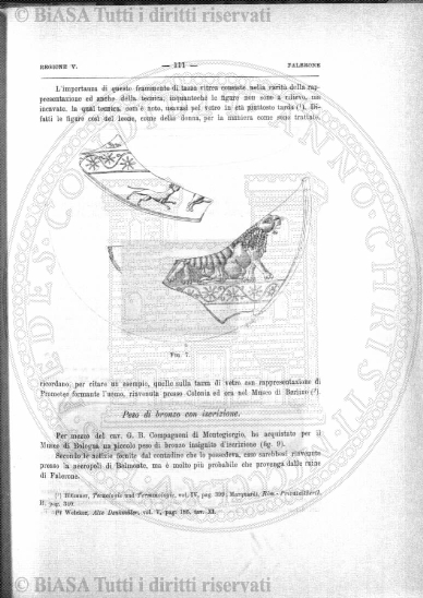 n. 11 (1955) - Pagina: 313