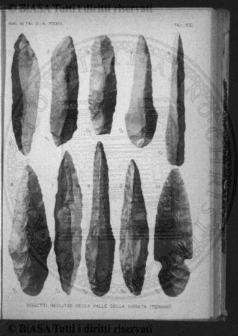 v. 5, n. 34 (1840-1841) - Pagina: 265