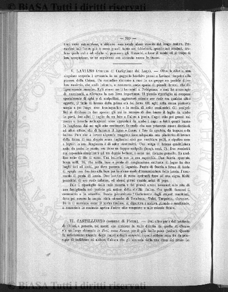 s. 2, n. 10 (1892-1893) - Pagina: 217