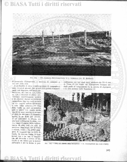 n. 9 (1884) - Pagina: 17